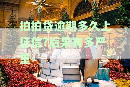 拍拍贷逾期多久上征信后果有多严重2020,逾期上征信时间解析