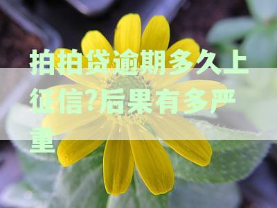拍拍贷逾期多久上征信?后果有多严重