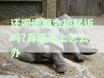 还呗逾期会被起诉吗真还不上怎么办坐火车吗