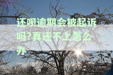 信贷逾期未还遭遇起诉应对策略指南