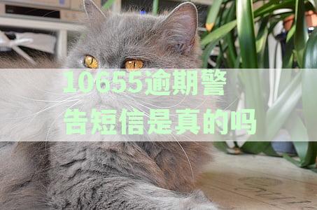 10655逾期警告短信是真的吗吗？如何举报虚假短信？