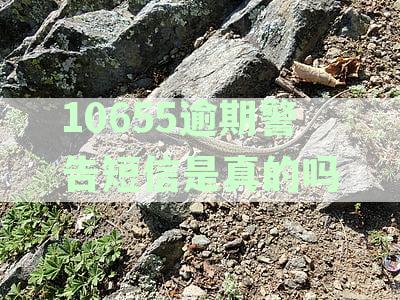 10655逾期警告短信是真的吗：是真的还是假的？