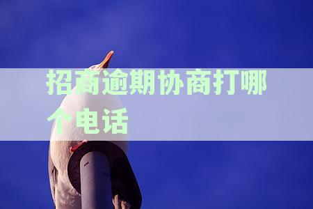 招商逾期协商打哪个电话投诉最有效？