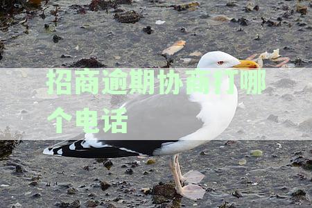 招商逾期如何协商期分期还款本金