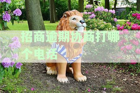 招行逾期协商电话拨打指南