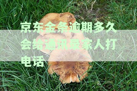 京东金条借款逾期多少天会打家里电话催收？逾期的具体规定时间是多少？