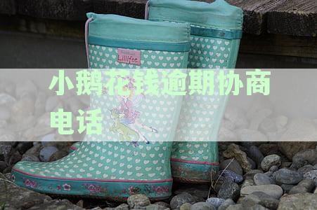 小鹅花钱逾期怎么协商分期还款及晚几天还款成功策略