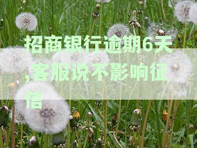 招商银行逾期6天,客服说不影响征信