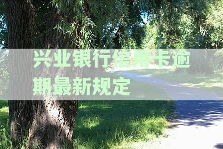 兴业银行信用卡电话95561人工24小时服务