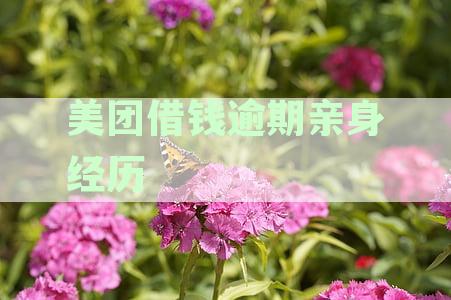 美团借钱逾期亲身经历分享：逾期后能否贷款及安全分析