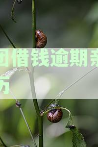美团借钱逾期会有什么后果？