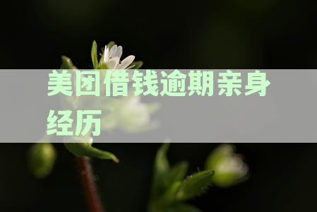 美团借钱逾期了会上征信吗,逾期多少天会上,影响贷款吗
