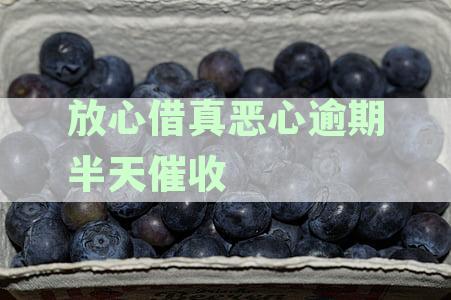 放心借逾期催收害吗：短信催收力度解析