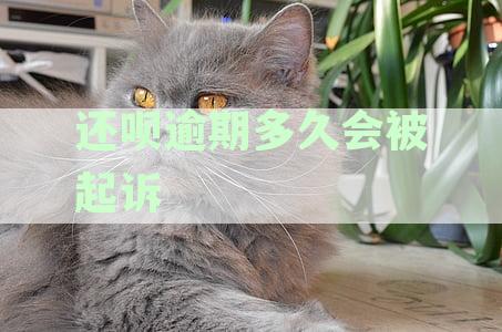 还呗逾期多久会被起诉,真的会上门吗:解决方案全解析