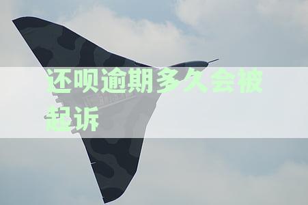 还呗逾期多久会被起诉花呗逾期怎么办：逾期期限及应对策略详解