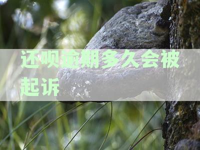 逾期被起诉了没钱还怎么办：支付宝借呗、车贷、贷款、银行贷款