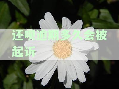 还呗逾期多久会被起诉
