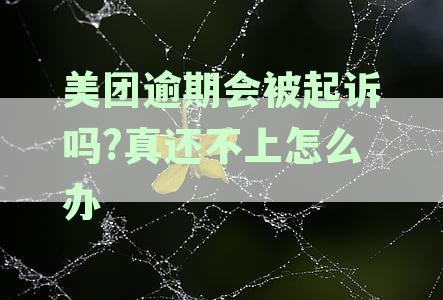 美团逾期会被起诉吗真还不上怎么办会面临坐牢吗：解决逾期债务指南