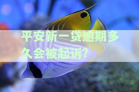 平安新一贷逾期多久会被起诉可以分期吗
