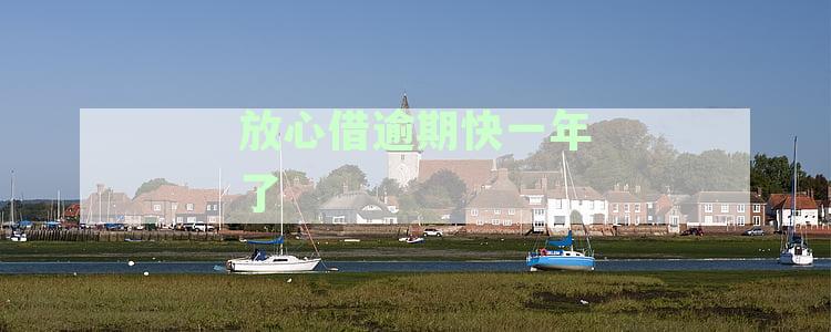 放心借逾期快一年了