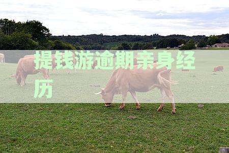 同程提钱游逾期多久爆通讯录,暴力催收引众怒,网友:必须严查