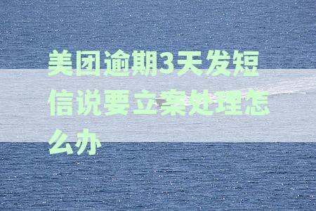 美团逾期几天,收到短信说起诉是不是真的:逾期十多天/两多月,短信起诉警告解析