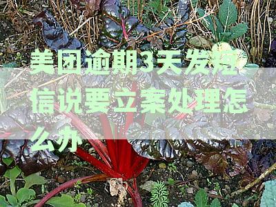 美团逾期第三天就给我发信息威胁我,我该怎么办？消费者权益保护与法律途径解析