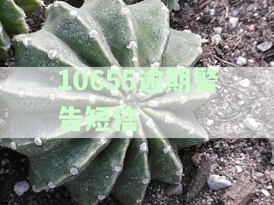 10655逾期警告短信是真的吗：确认真伪与防措