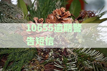 10655逾期警告短信没有退订是真是假，揭秘逾期短信背后的真相