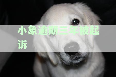 小象逾期三年被起诉会坐牢吗？逾期一年如何起诉？