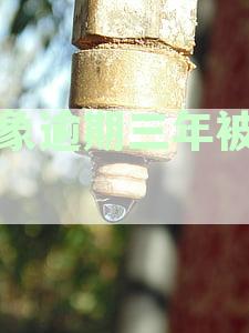小象逾期三年被起诉后还能协商吗：三年起诉后的协商途径分析