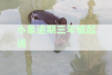 小象逾期三年被起诉会怎么样:逾期一年起诉处理方法