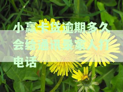 小赢卡贷逾期后多久会上门催收电话