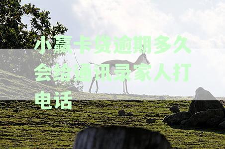 小赢卡贷逾期多久会给通讯录家人打电话
