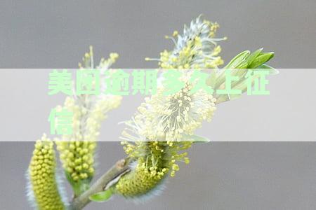 美团逾期多久上征信,借呗逾期几天上征信,美团借钱逾期上征信后果严重吗?