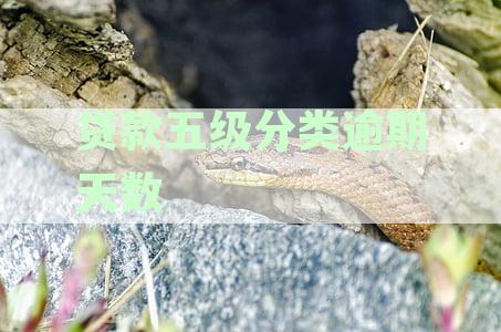 贷款五级分类逾期天数关注:逾期31-60天 银行分类标准及逾期贷款情况解析