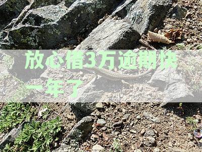 放心借3万逾期快一年了怎么办？处理逾期借款指南