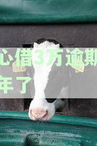 放心借3万逾期快一年了