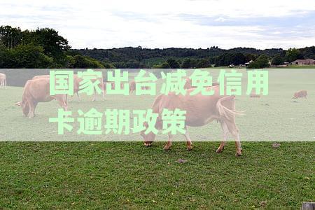 国家出台减免信用卡逾期政策原文最新