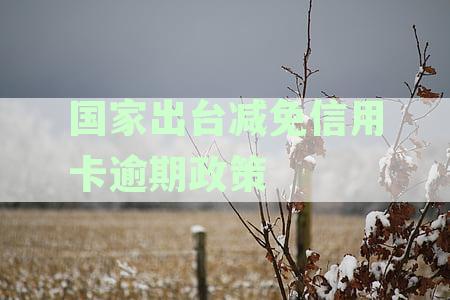 2023国家出台减免信用卡逾期政策相关批文原件政府网