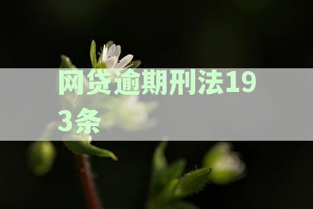 网贷逾期刑法193条立案标准与处理方式及193与224条关联分析
