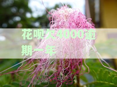 我花呗逾期1年欠7千块,会被起诉吗？