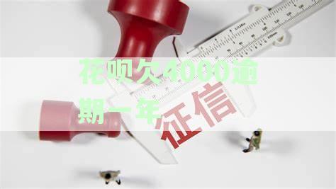 花呗5000逾期1年，7千块未还，担心起诉风险