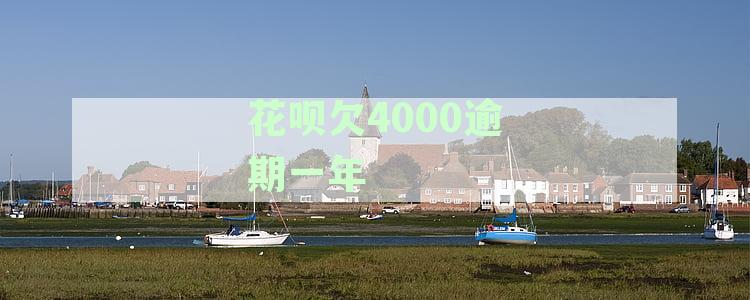 花呗逾期4000元四个月会被告上法庭吗？真会起诉吗？