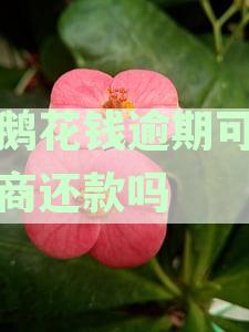 小鹅花钱逾期可以协商还款吗电话,分期还款,逾期后怎么办