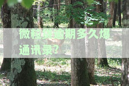 微粒贷逾期多久爆通讯录发短信通知：逾期的具体时间及通知方式解析