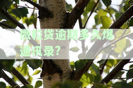 微粒贷逾期多久爆通讯录如何举报通讯录里的人