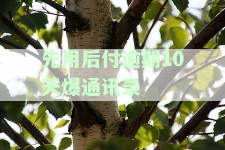 先用后付逾期一个星期:影响及恢复时间解析