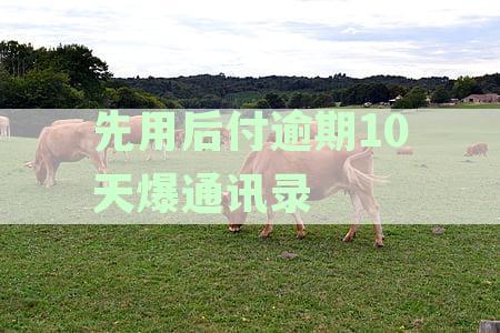 先用后付逾期10天爆通讯录