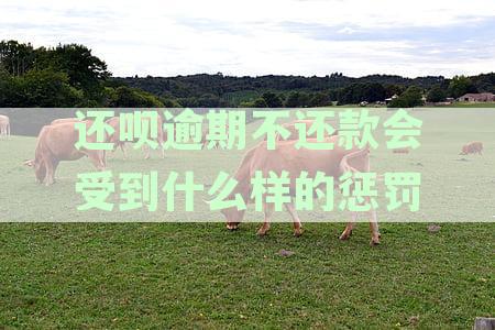 还呗逾期不还款会受到哪些惩罚？